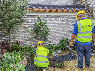 禪城嶺南盛世茶舍園林綠化工程進(jìn)入收尾，精細(xì)化養(yǎng)護(hù)開(kāi)啟新篇章