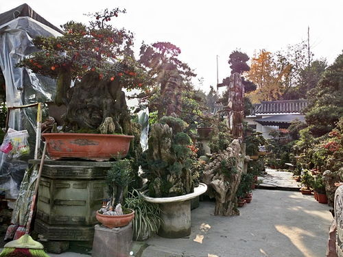 成都市光和園林藝術(shù)有限責(zé)任公司 專業(yè)園林綠化設(shè)計(jì)施工一體化服務(wù)