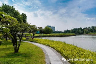 匠心筑景，綠韻迎賓——記2016年度杭州市優(yōu)秀園林綠化工程道路組金獎(jiǎng)項(xiàng)目 杭州蕭山國際機(jī)場迎賓專用道路及環(huán)境提升工程景觀綠化與養(yǎng)護(hù)
