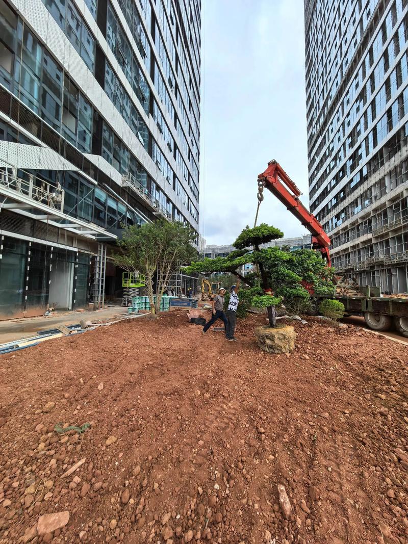 從一草一木到一方生態 園林景觀綠化的多元價值與深遠意義